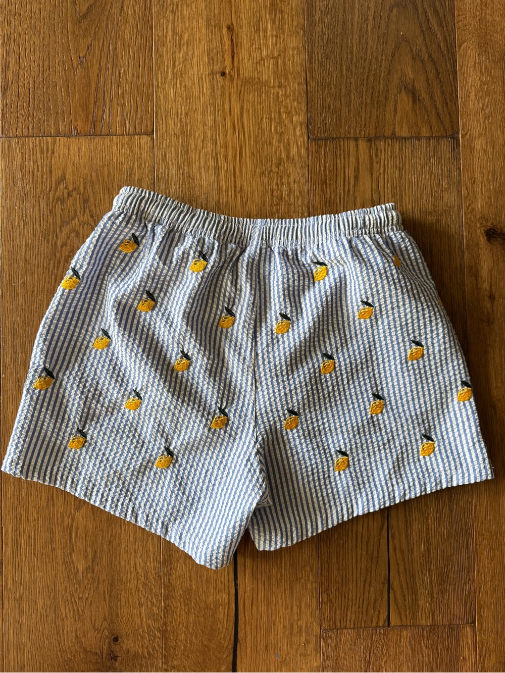 Warren Webber Blue & White Seersucker Swimsuit Mens L w/ Lemon Embroidery Beach - Picture 3 of 9
